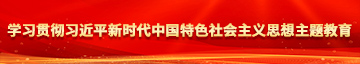 操我的b学习贯彻习近平新时代中国特色社会主义思想主题教育